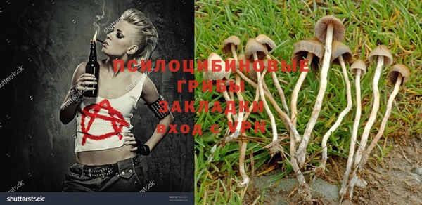 мяу мяу кристалл Мегион