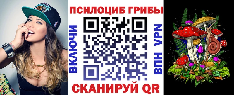 Псилоцибиновые грибы Cubensis  Шатура 