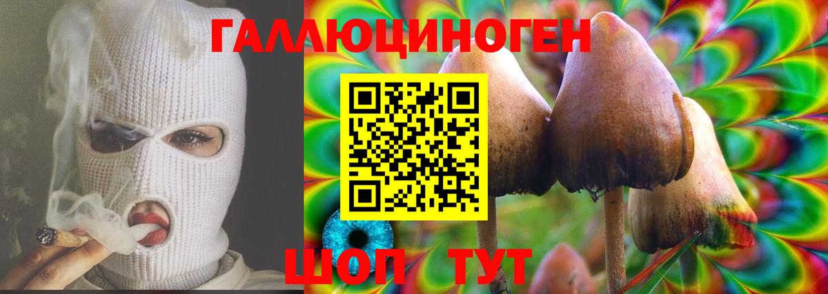 Псилоцибиновые грибы мицелий Шатура