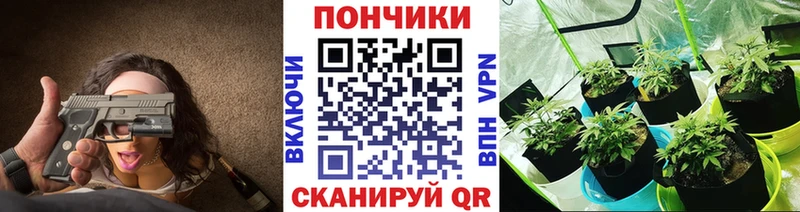 даркнет сайт  Шатура  Бошки Шишки сатива 